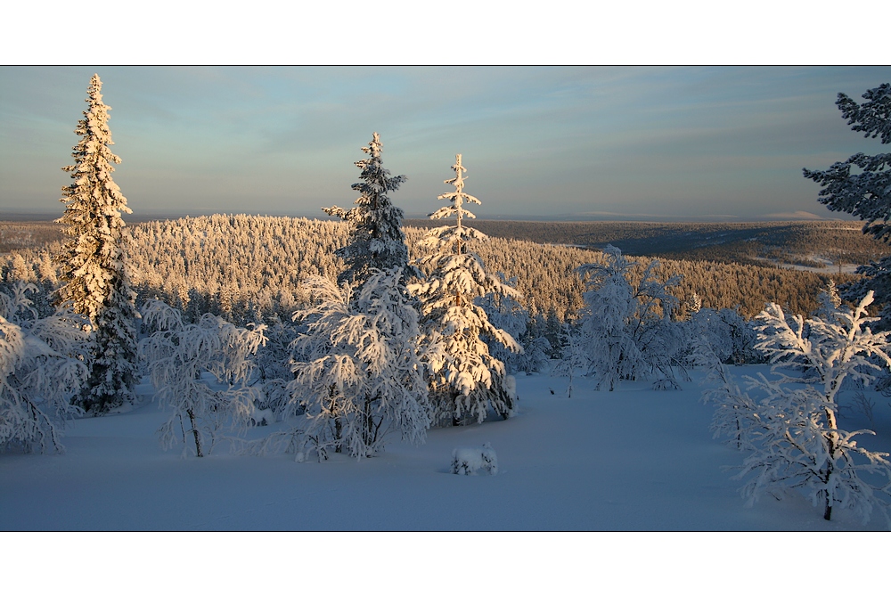 Fjäll-Lappland