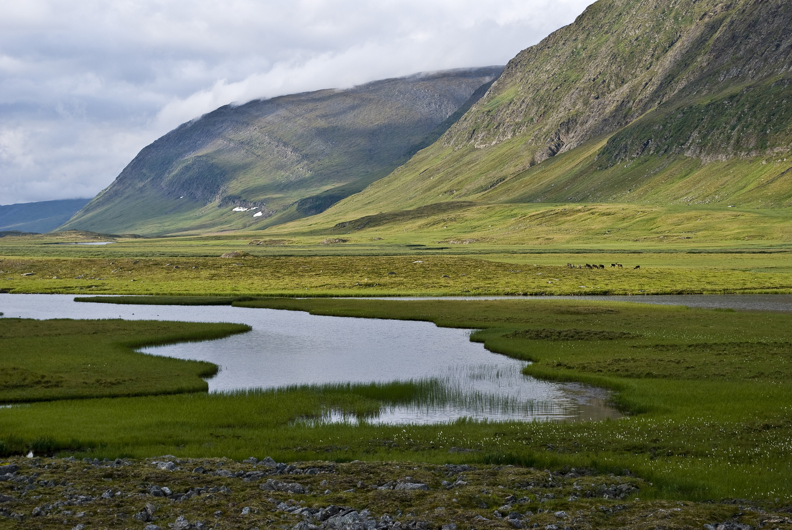 Fjäll Räven Classic