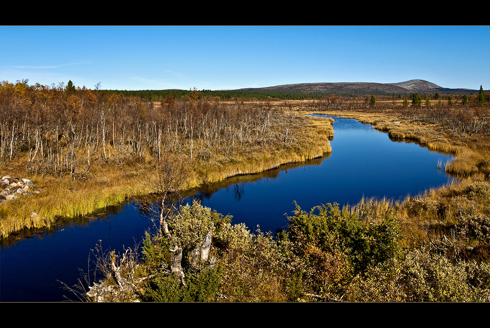 Fjäll und Moor