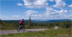 Fjällbiking 1 - Ein kleiner Aussichtsberg nahe Arvidsjaur