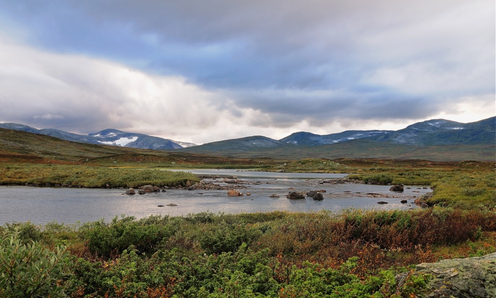 Fjällfiske Süd Lappland