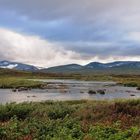 Fjällfiske Süd Lappland