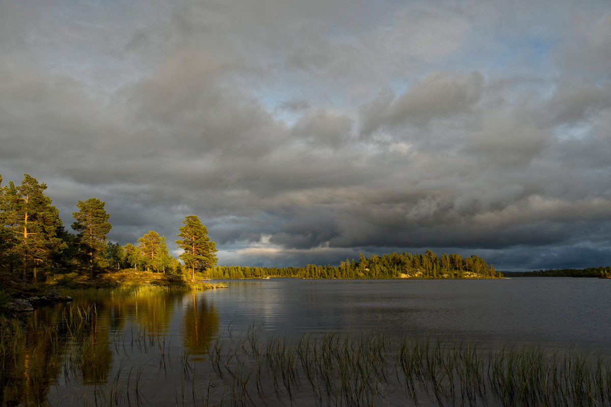 Fjällvattnet