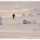 Fjällwanderung