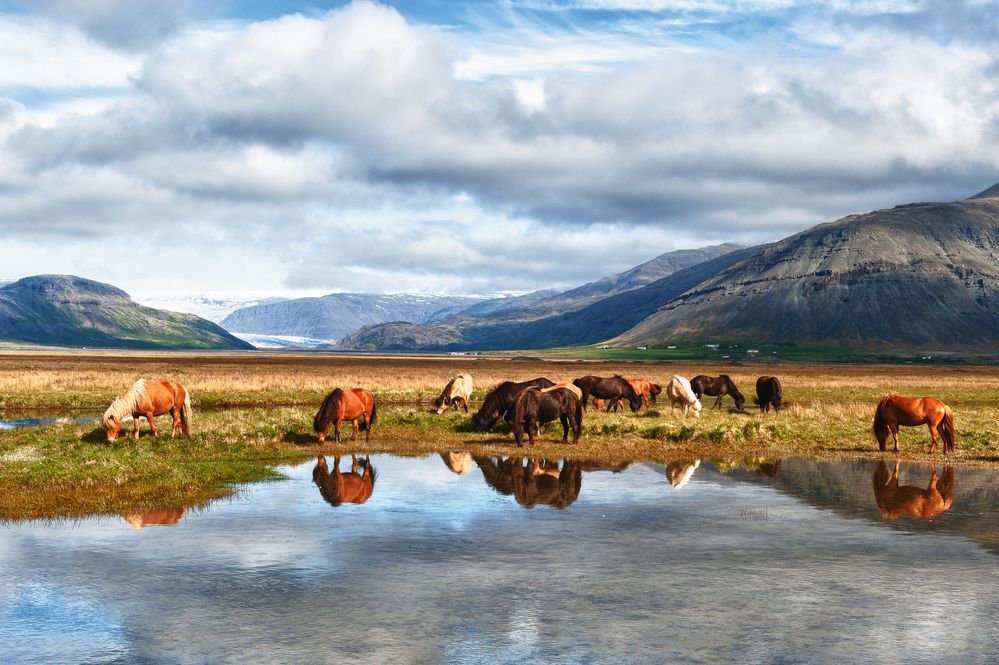 Fjallsjokull