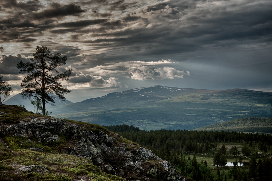 Fjell