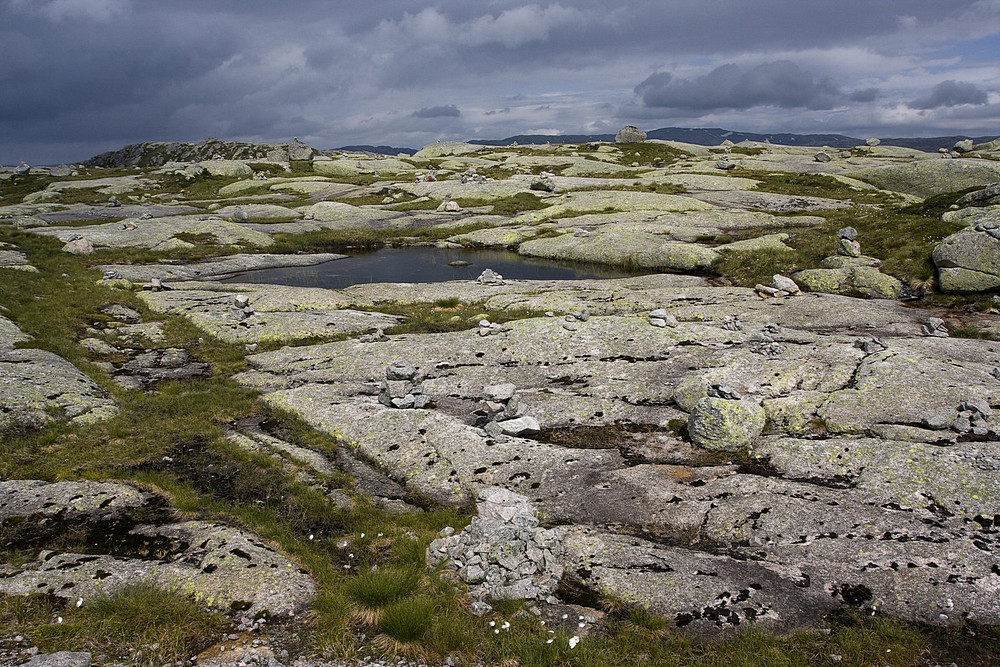 Fjell