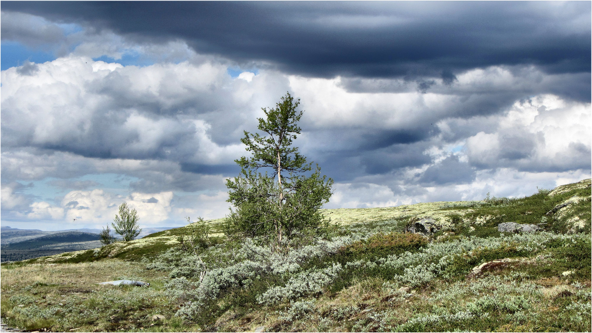 Fjell im norwegischen Nationalpark Rondane-2013