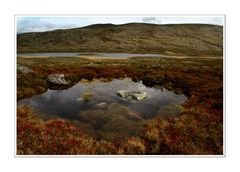 Fjell-Landschaft