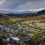 Fjell og Vidde