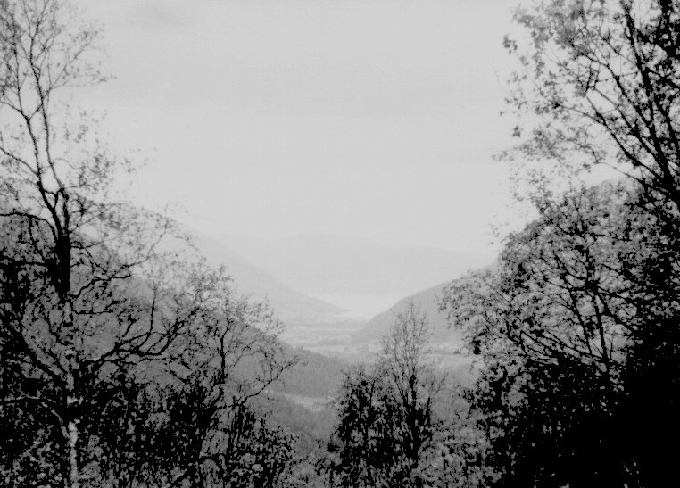 Fjord 3 1967