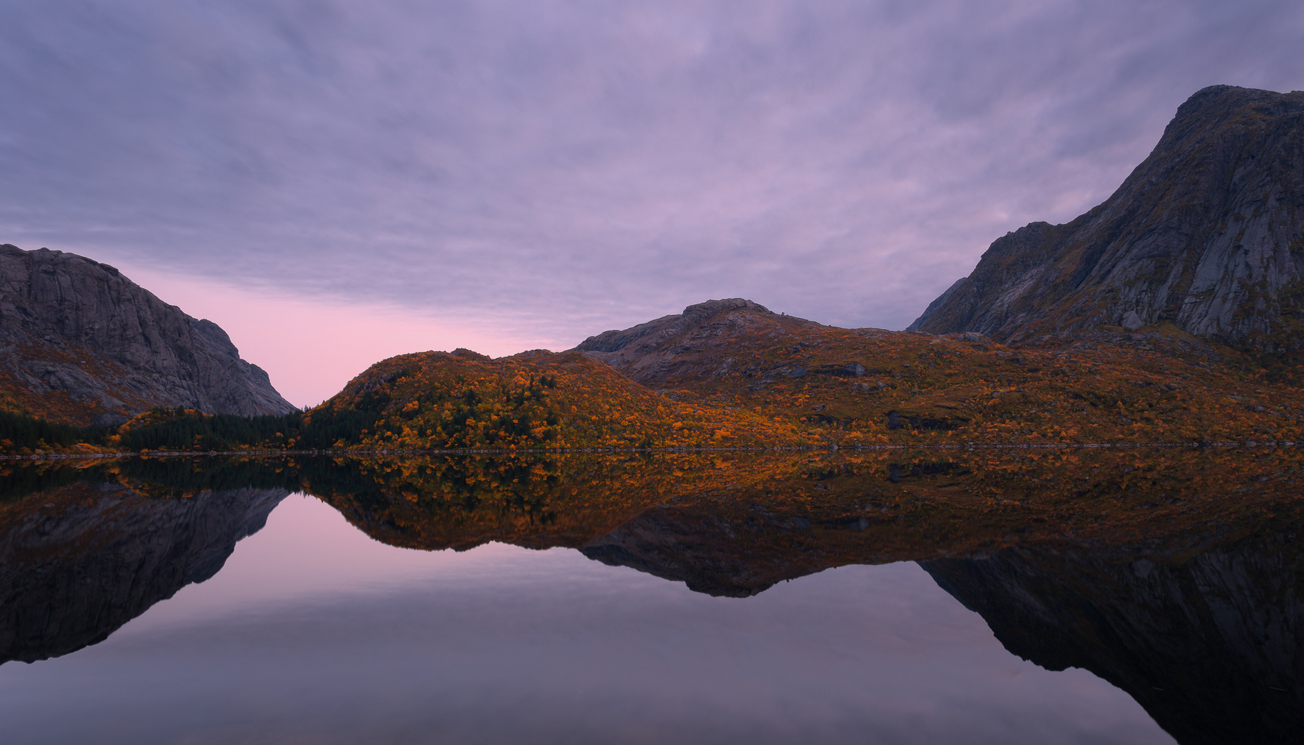 Fjord