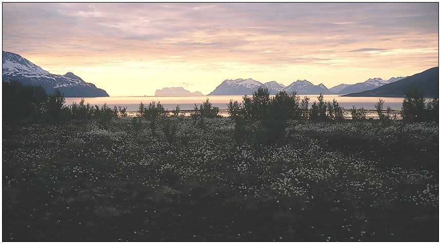 Fjord-Alpen