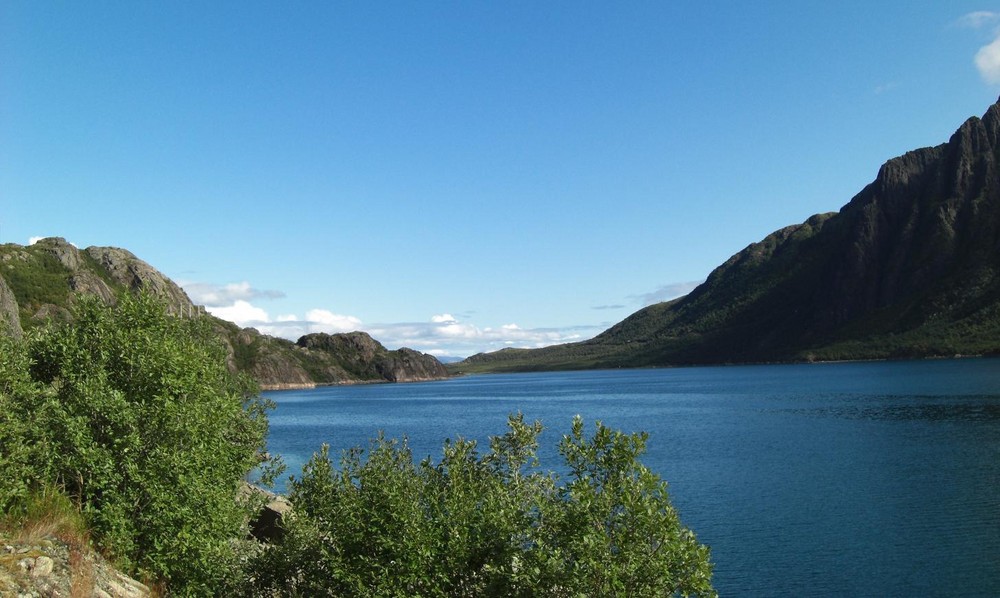 Fjord auf den Lofoten