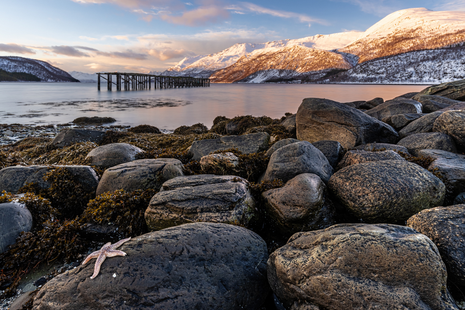 Fjord der Träume