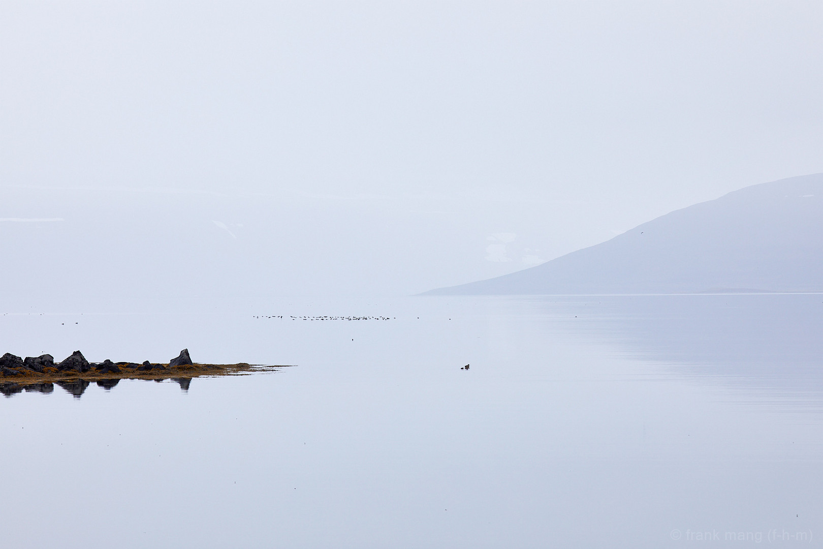 Fjord im Nebel