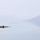 Fjord im Nebel