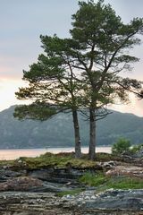 Fjord in Norwegen