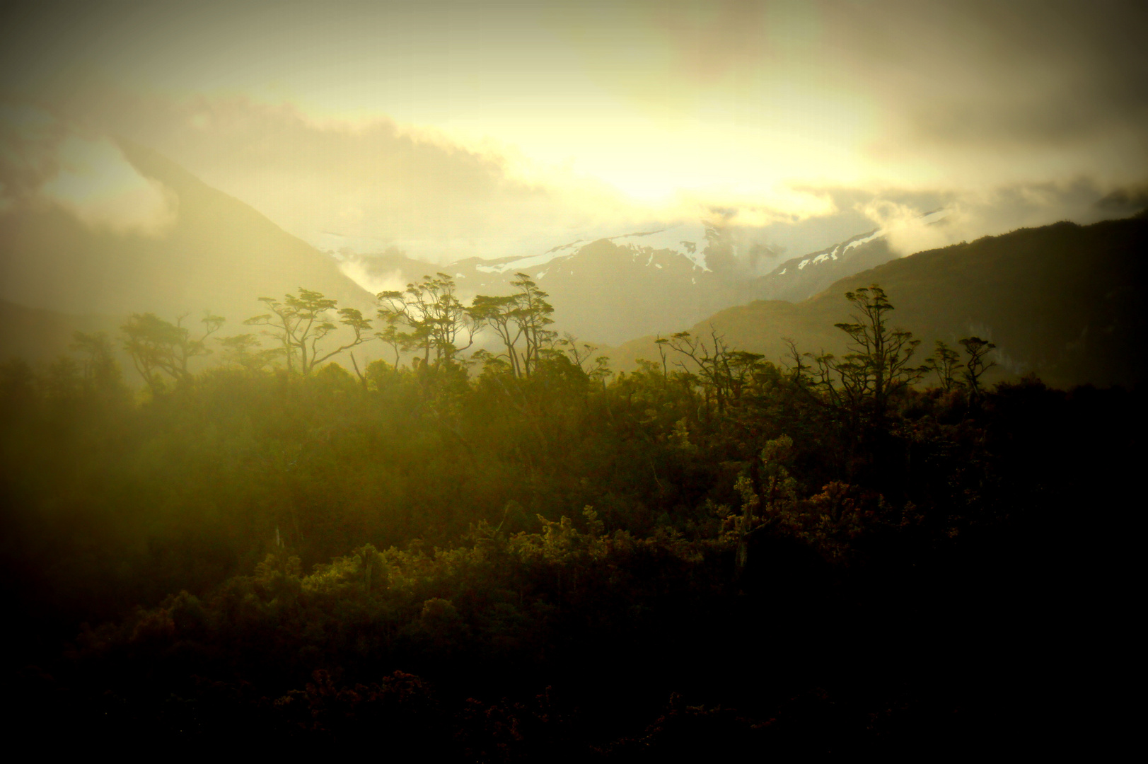 Fjord in Patagonien