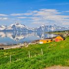 Fjord / Lofoten