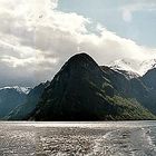 Fjord Panorama