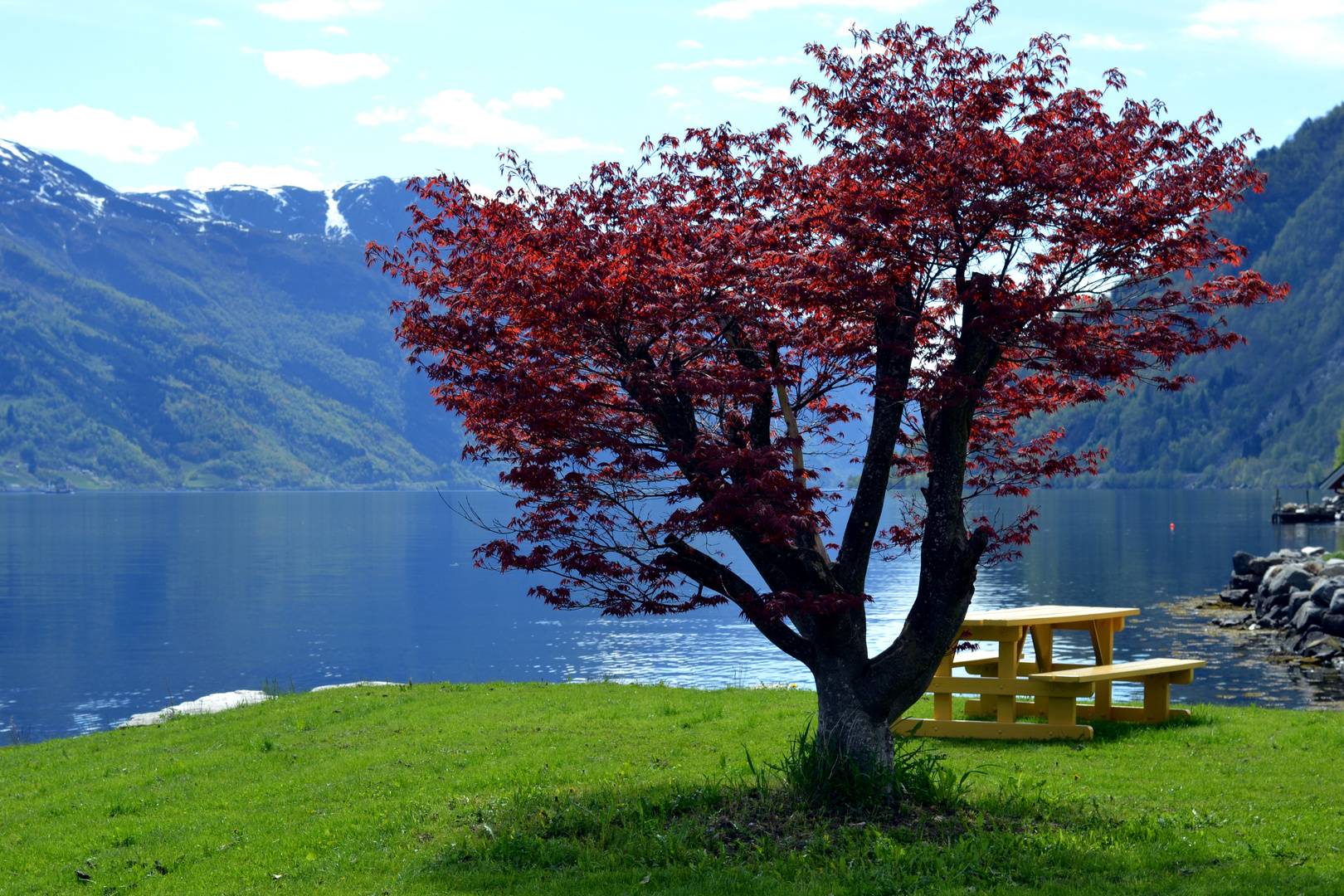 Fjord-paradise