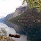 Fjord über und unter Wasser