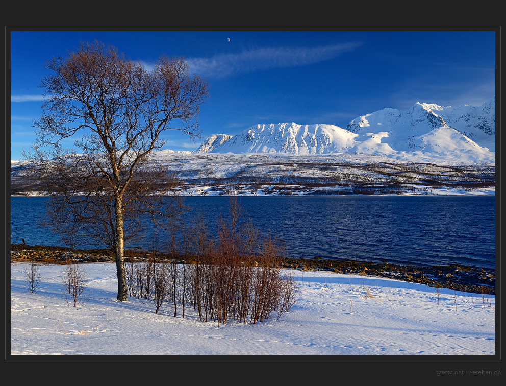 Fjordaussicht