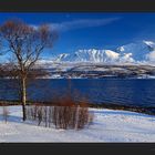 Fjordaussicht