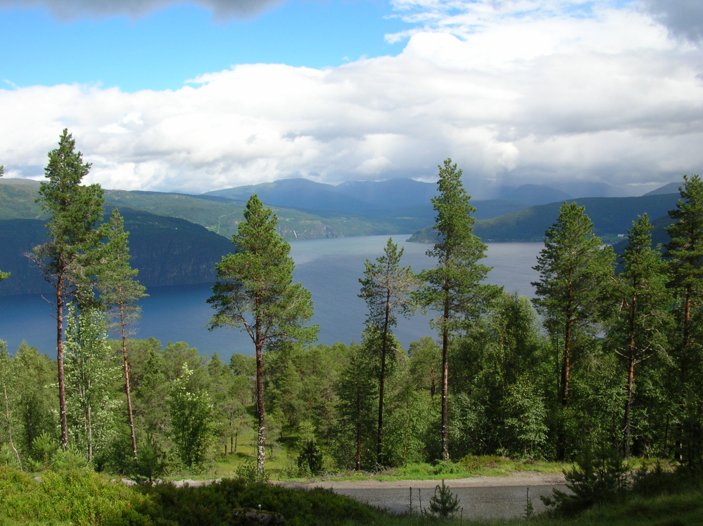 Fjordblick