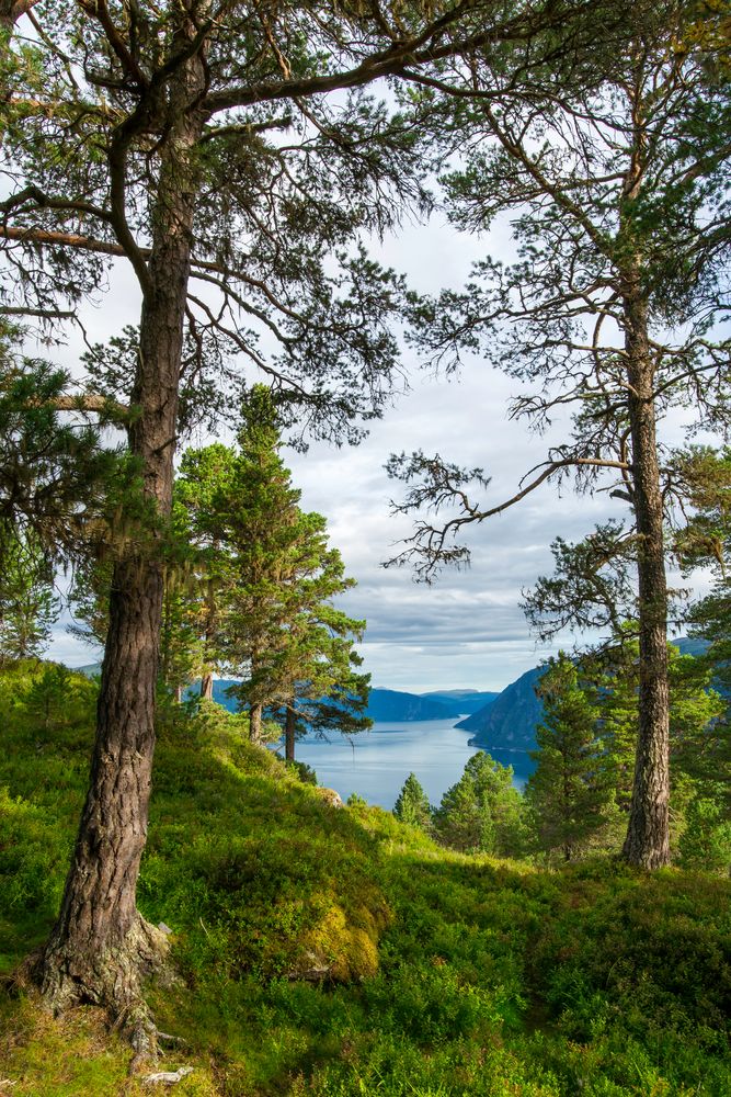 Fjordblick