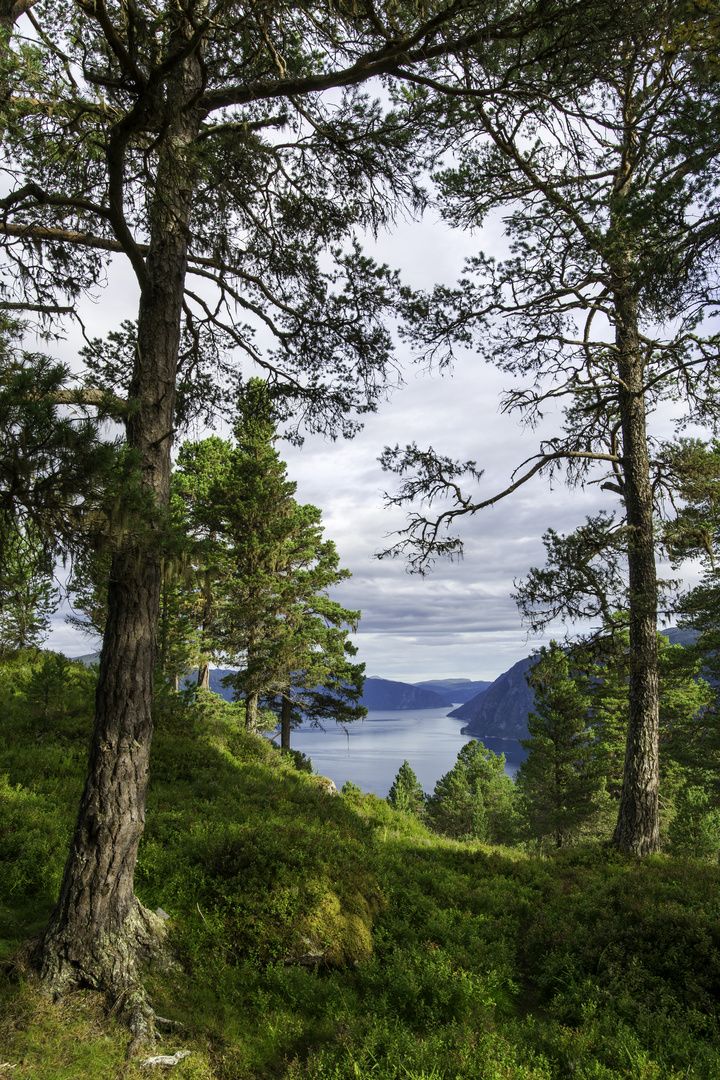 Fjordblick