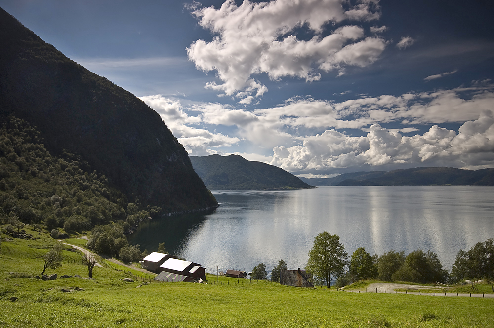 Fjordblick Sognefjord