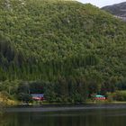 Fjorde, Häuser, Wälder