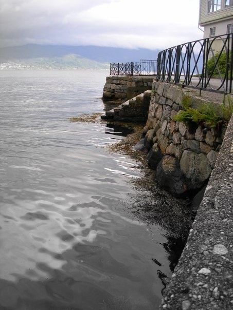 Fjorde Norwegens