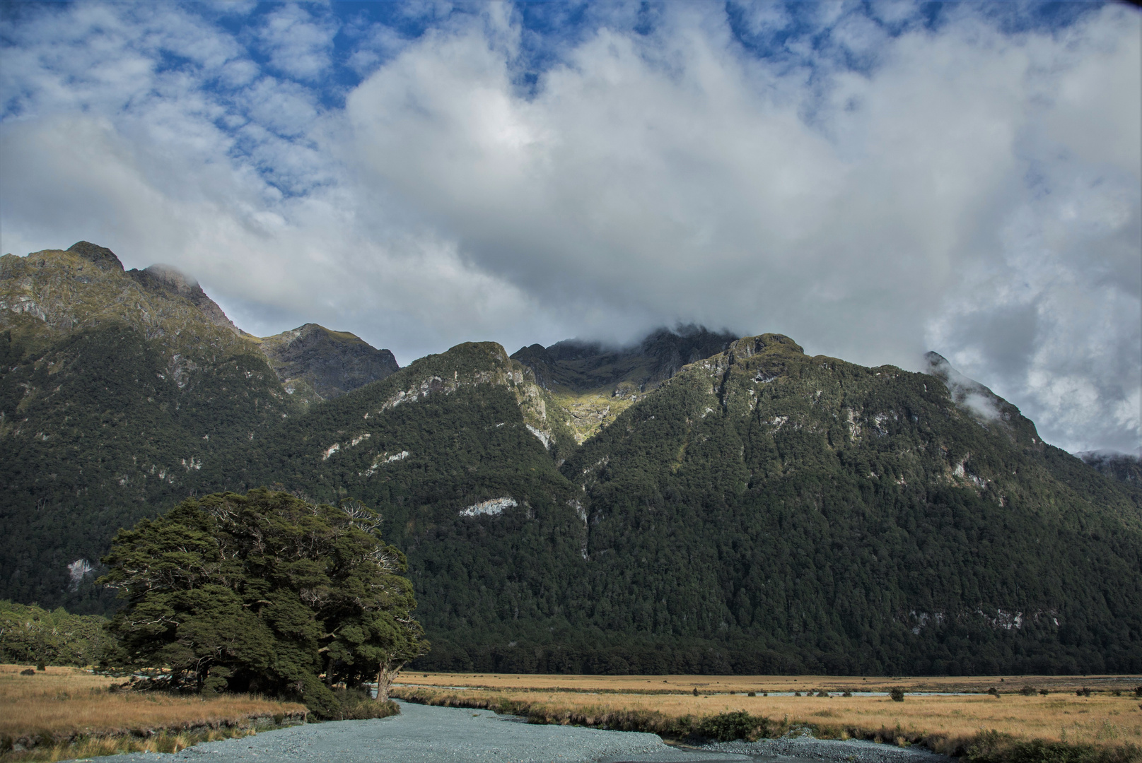 Fjordland