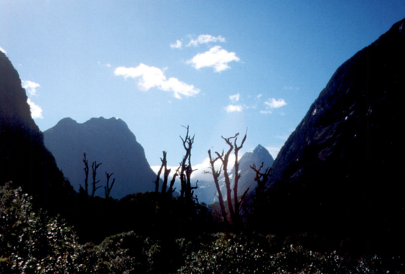 Fjordland