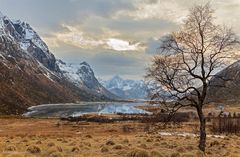 Fjordlandschaft