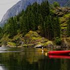 Fjordlandschaft