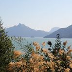 Fjordlandschaft am Hwy. 99 nördlich von Vancouver