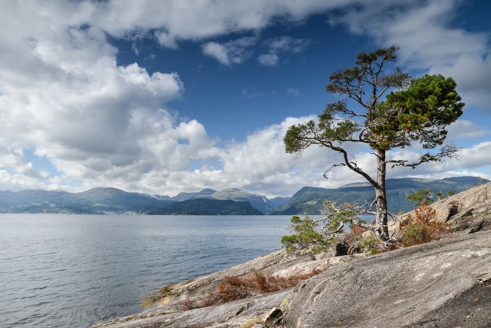 Fjordlandschaft