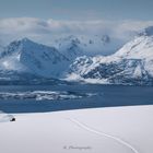 Fjordlandschaft