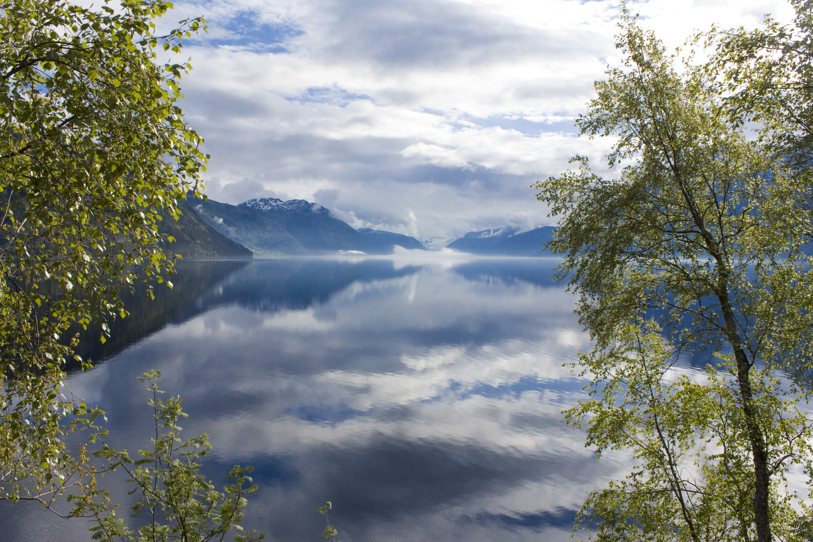 fjordlife