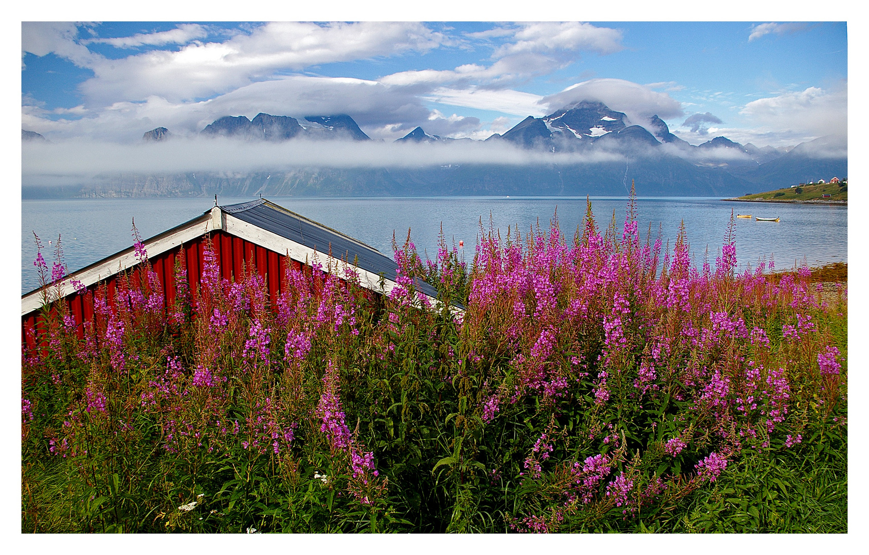 Fjordsommer 5- Lyngen