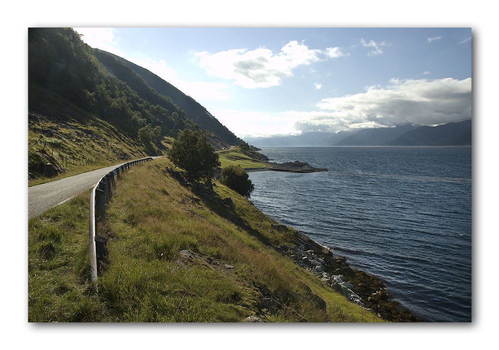 Fjordufer im Gegenlicht