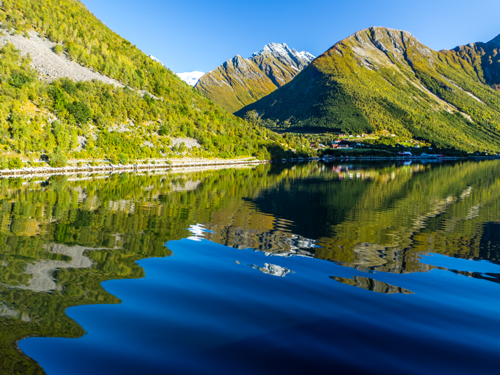 Fjordwellen