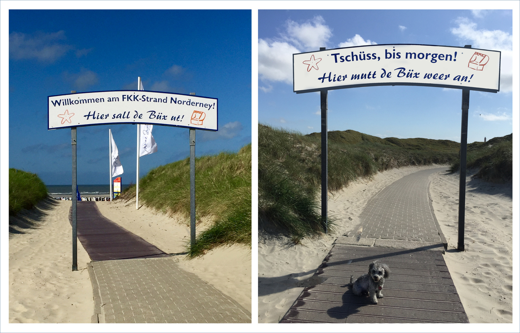 FKK strand Norderney Foto &amp; Bild natur, landschaft, dünen Bilder auf