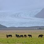 Fláajökull