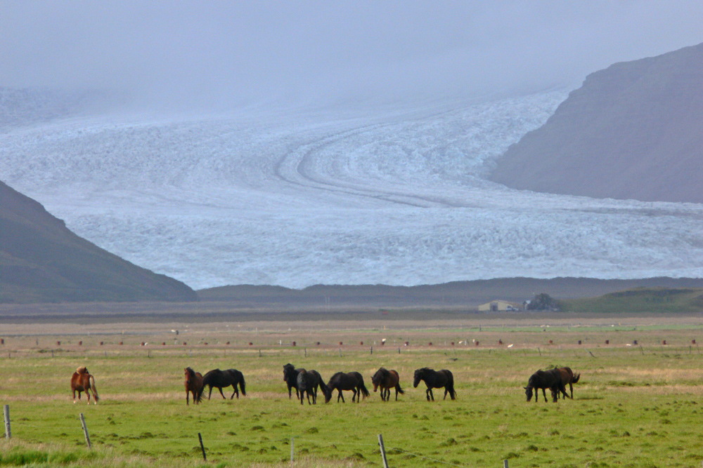 Fláajökull