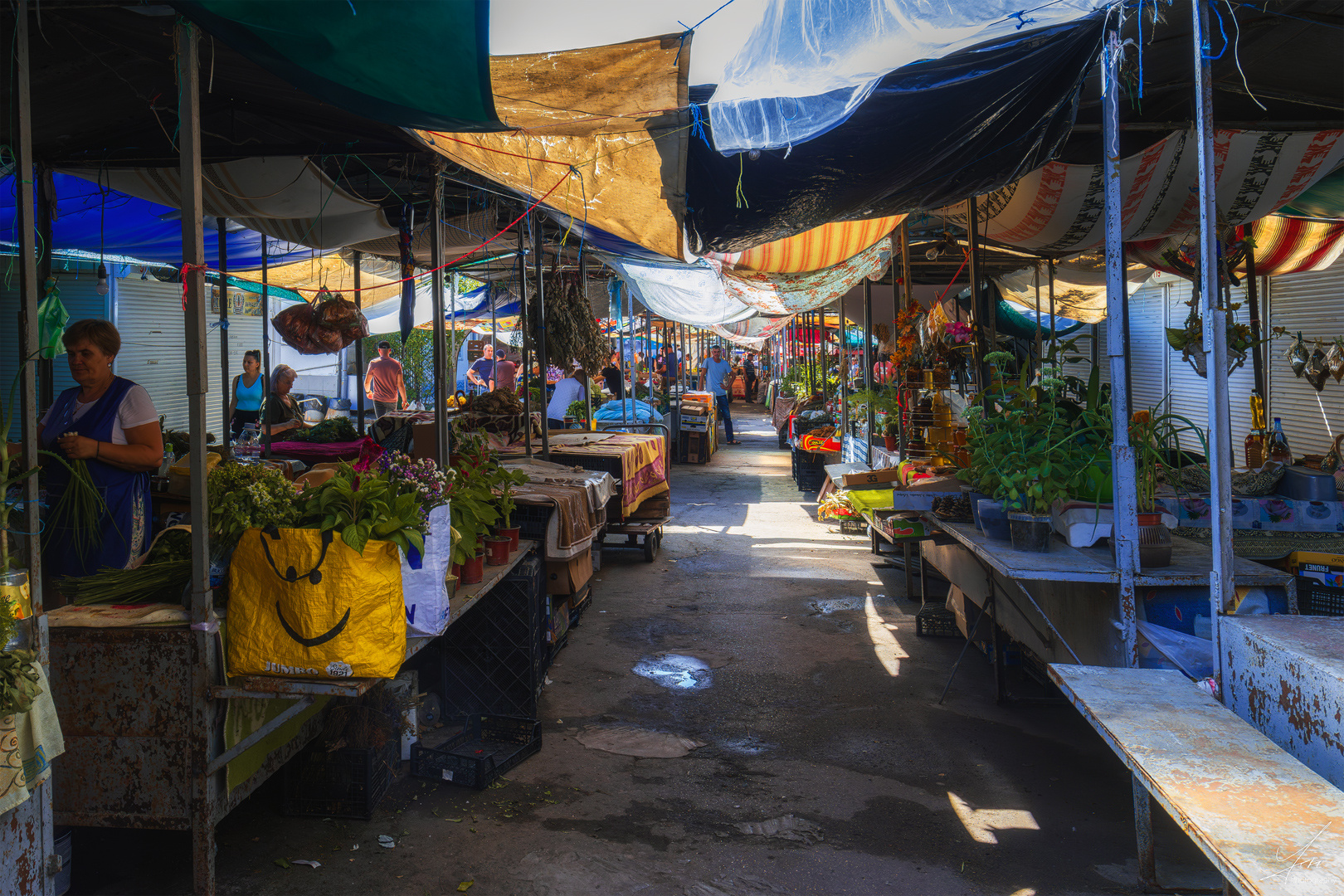 Flacara Market